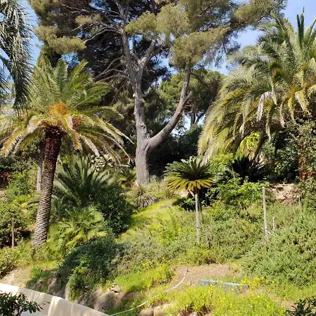 La Renarde * Le Lavandou